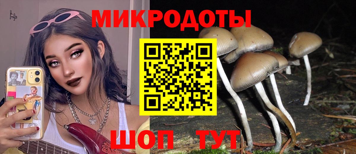 Гусев  Галлюциногенные грибы MAGIC MUSHROOMS  Вход с VPN 